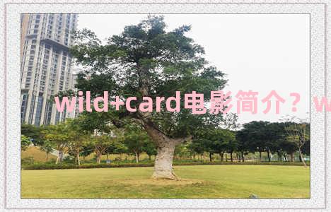 wild+card电影简介？wild 电影